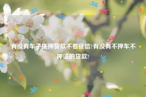 有没有车子抵押贷款不看征信?有没有不押车不押证的贷款?